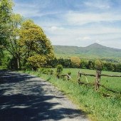 Scenic Roadshot - Rt. 615