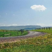 Scenic Roadshots - Rt. 720