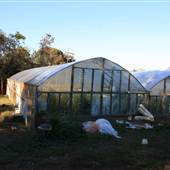 Red Hill Farm