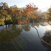 Cow Pasture River