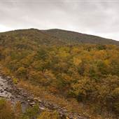 Maury River at Rt. 601