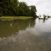 Chapel Creek