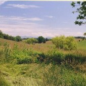 Scenics - Cross Keys