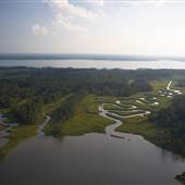 Jamestown Island - Shore