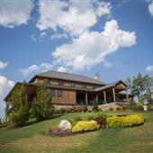 Saude Creek Vineyards