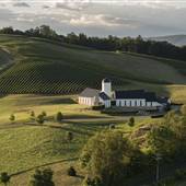 RdV Vineyards