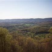 Big Walker Scenic Overlook