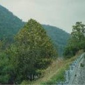 New River - Rt. 460