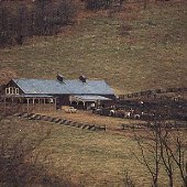 Marriott Ranch