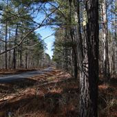 Duval Road
