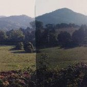 Scenics - Lee County