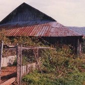 Keene Property