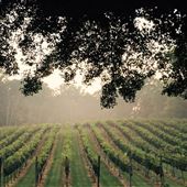 Paradise Springs Winery