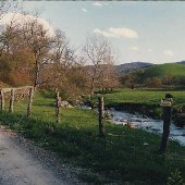 Scenics - Grayson County