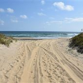 False Cape State Park