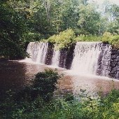 The Mill Pond