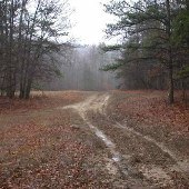 George Washington National Forest