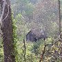 Village of Syria