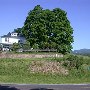 Route 231 - Revercombs Corner