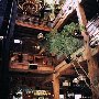 Tobacco Company Restaurant