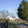 Dogtown Road Farm