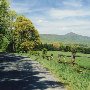 Scenic Roadshot - Rt. 615