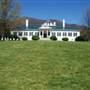 Pharsalia Plantation and Flower Farm
