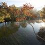 Cow Pasture River