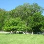 DeLeonardis Farm