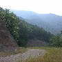 Forest Route 384