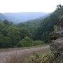 Forest Route 384
