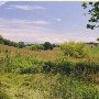 Scenics - Cross Keys