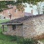 Buffalo Springs Farm