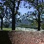 Mirador Estate and Horse Farm