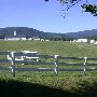 Mirador Estate and Horse Farm