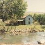Reynold's Farm