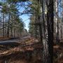 Duval Road