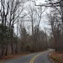 Curved wooded road