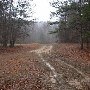 George Washington National Forest
