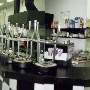 Westwood Pharmacy