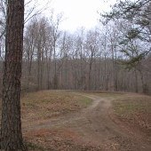 Horsepen Wildlife Management Area