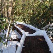 Cherokee Flats Trail
