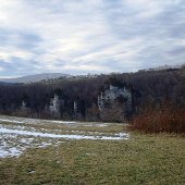 Wes-River View and Field
