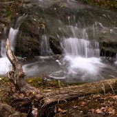 Cascades Gorge