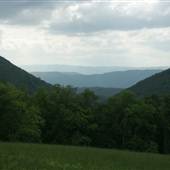 Homestead Pasture