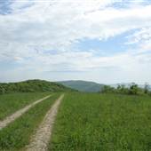 Big Spy Mountain