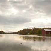 Lake Shenandoah