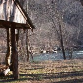 Tye River Camp