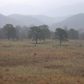 Lockridge Farm & Property