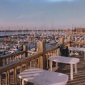 Eller's On The Bay